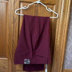 Express New Twill Pant